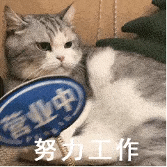 Suggestion.gif