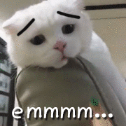 erinnnmrYI.gif
