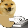 无字动图.gif